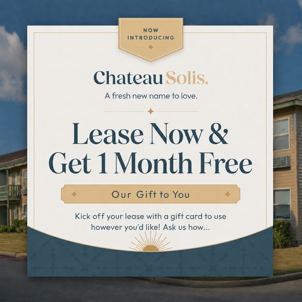 Building Photo - Chateau Solis