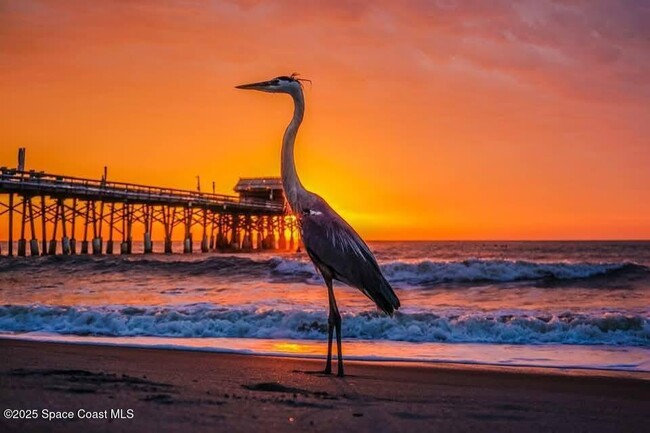 Building Photo - 299 Chandler St