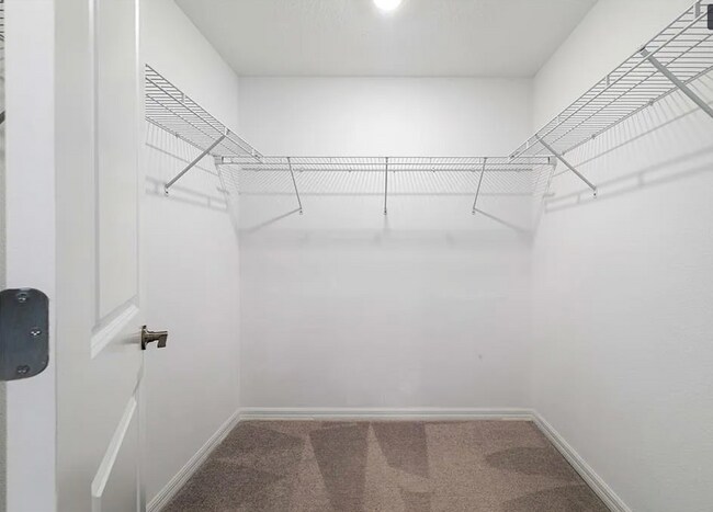 Building Photo - 5199 Forum Blvd