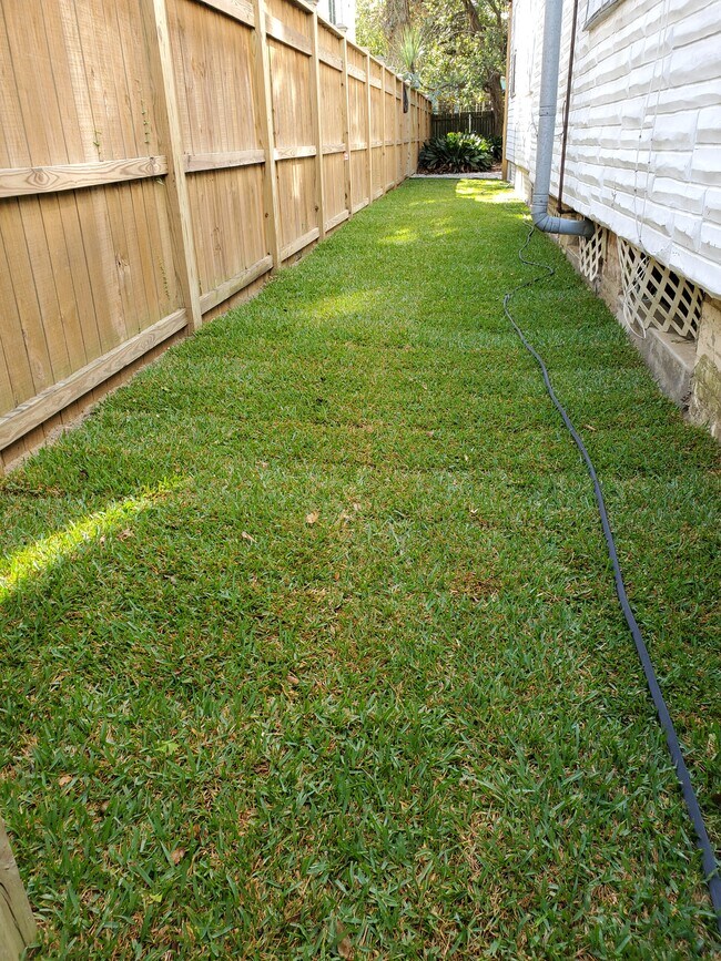 Side yard - 8 Fontainebleau Dr