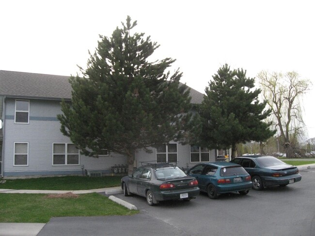 Building Photo - Willow Wood Apts