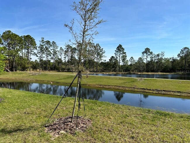 Building Photo - 5685 Arborvista Dr