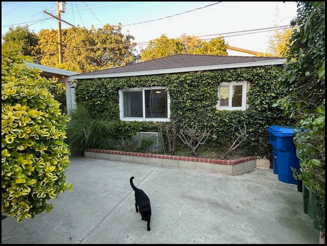 Exterior 1 - 4350 Corinth Ave