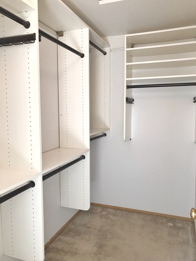 Building Photo - Great 3 bed with huge yard!