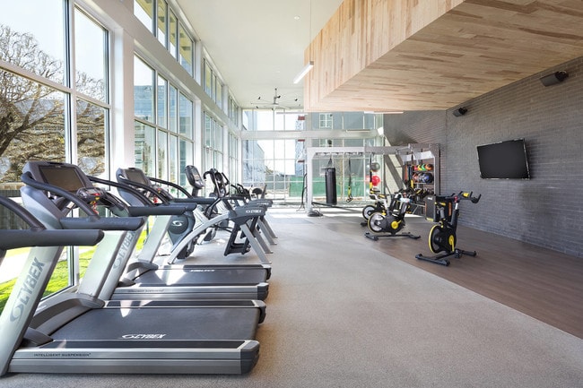 Get energized in the spacious, sunlit fitness studio, designed to inspire your best workout with plenty of natural light. - Windsor Metro West