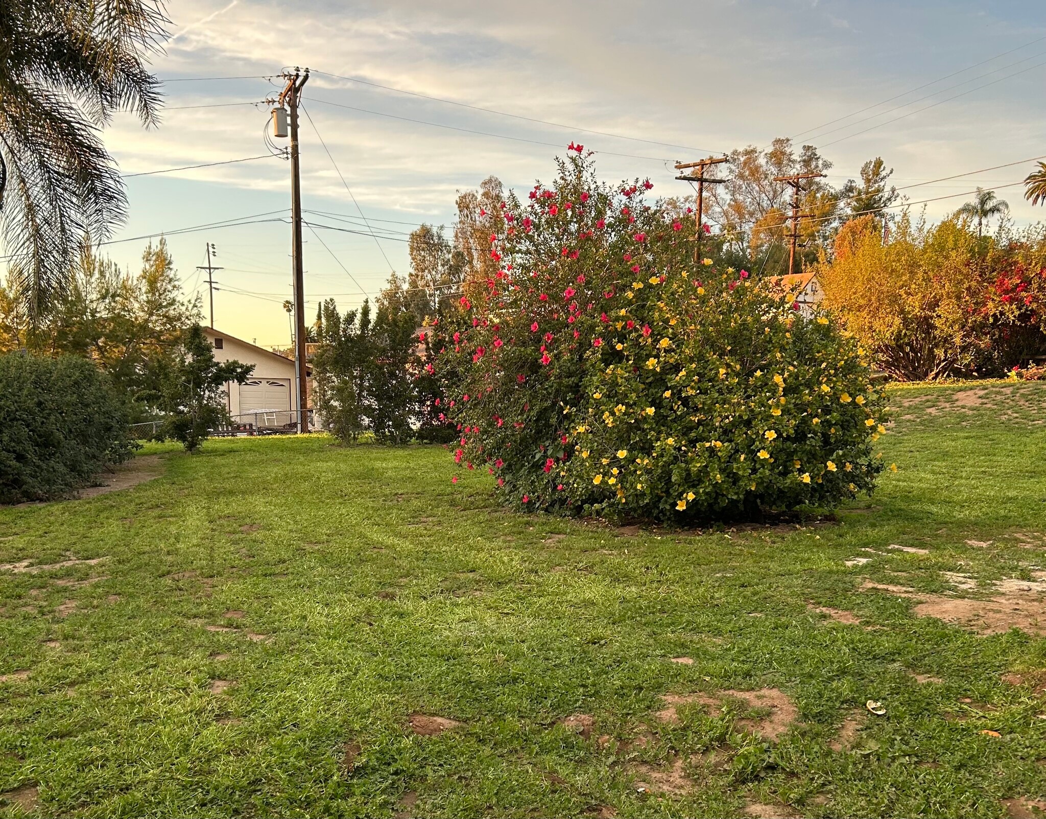 Back Yard - 1999 Valley Rim Rd