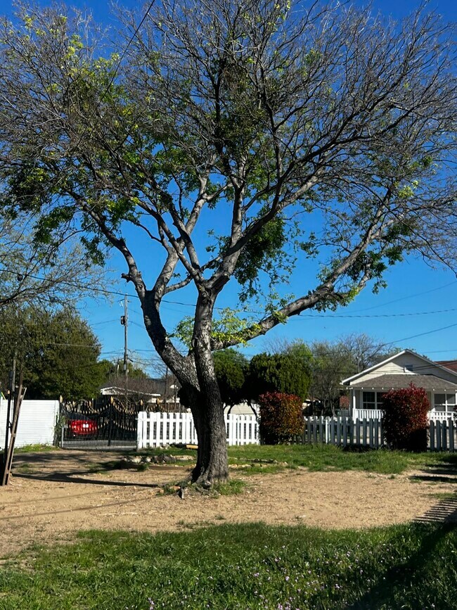 Building Photo - 1907 Belmont Ave