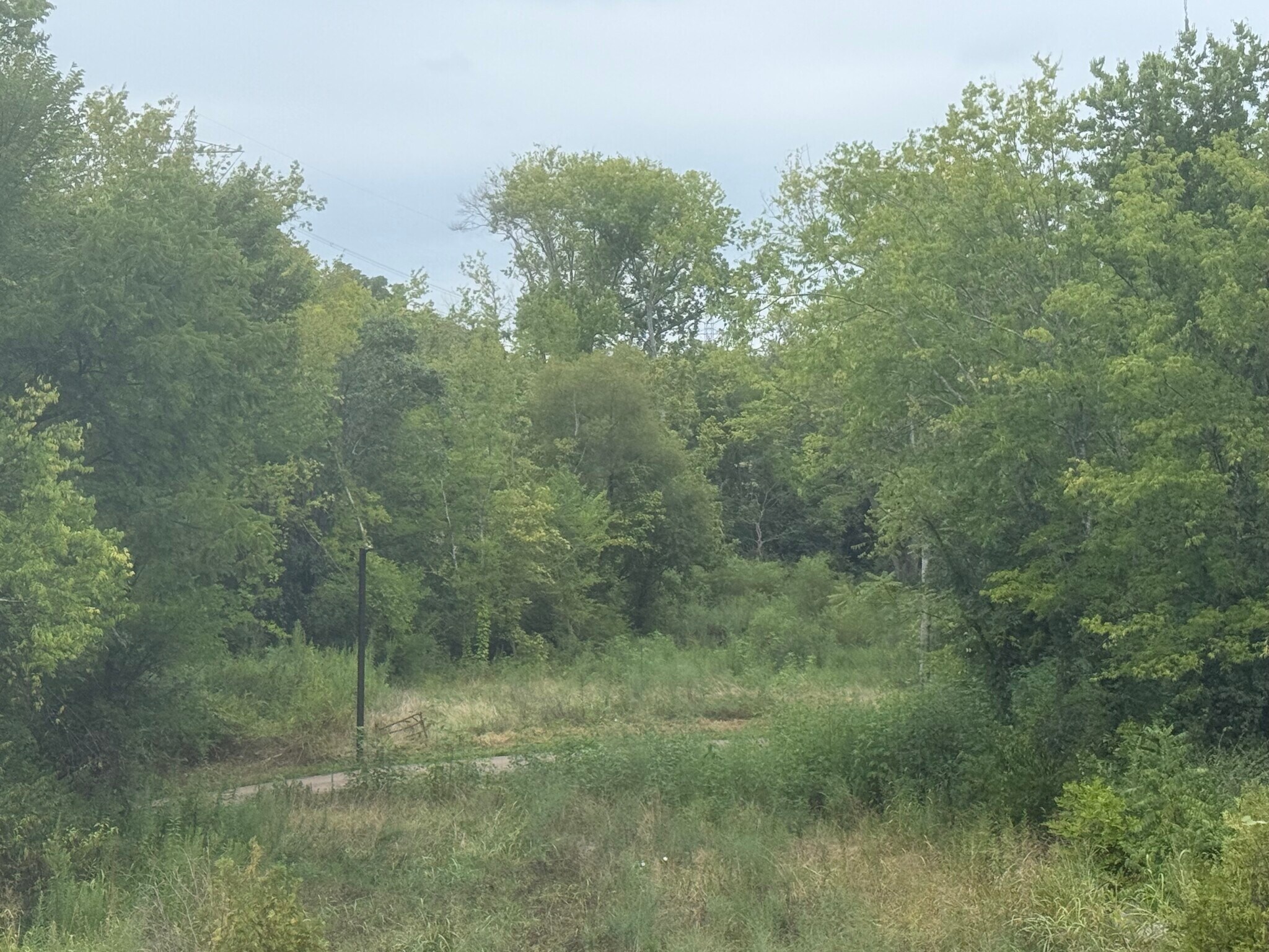 Backyard view and walking trail - 1516 Mountain Quail Cir