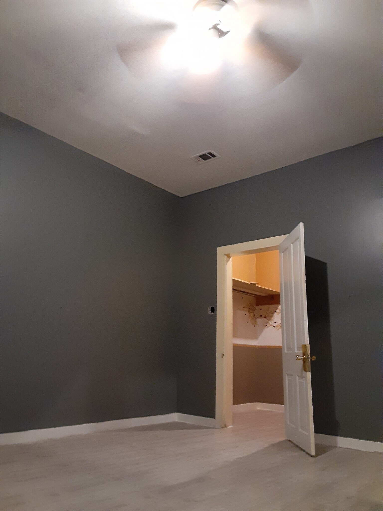 Building Photo - 509 Marine St