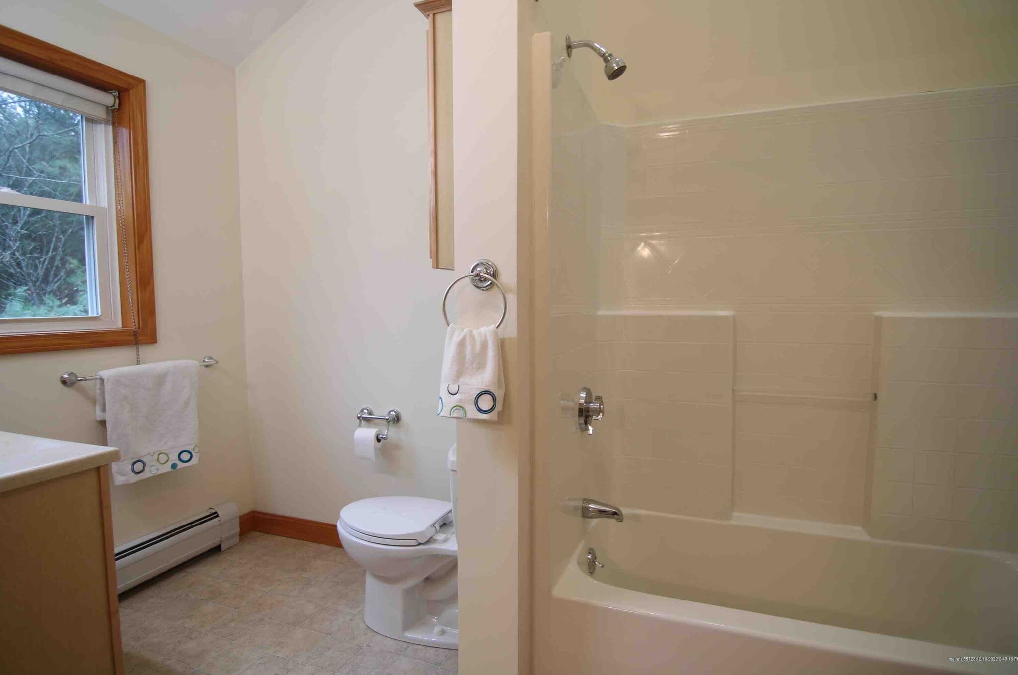 Master Bathroom - 310 Sebago Rd