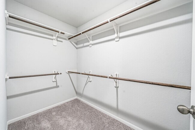 Building Photo - 2533 Allegretto Sea Dr