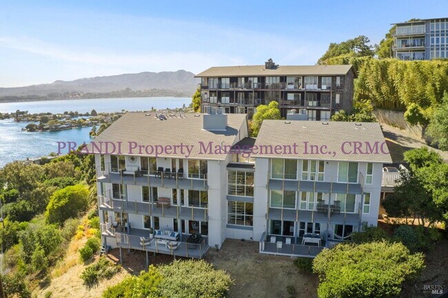 Building Photo - Resort Style Living in Prime Tiburon Location!