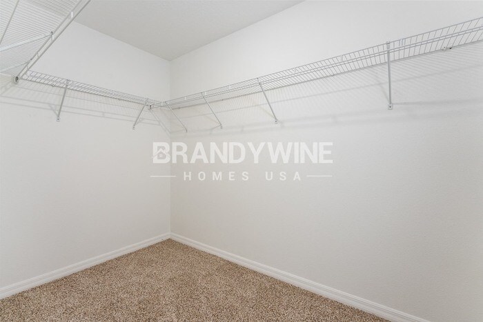 Building Photo - 5559 Mercado Dr