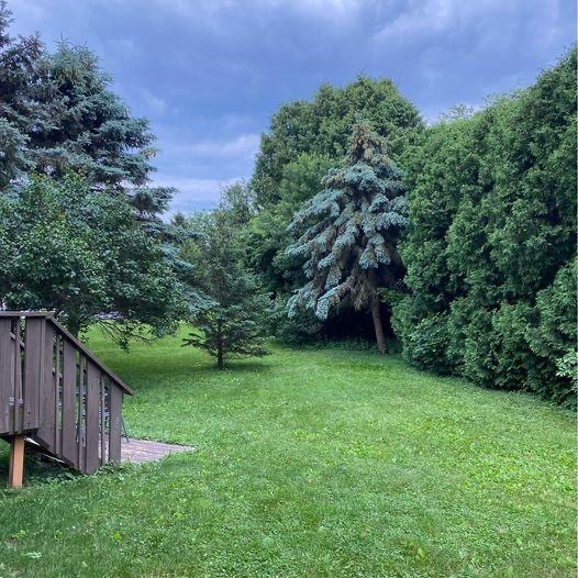Rear Yard - 808 Southgate Dr