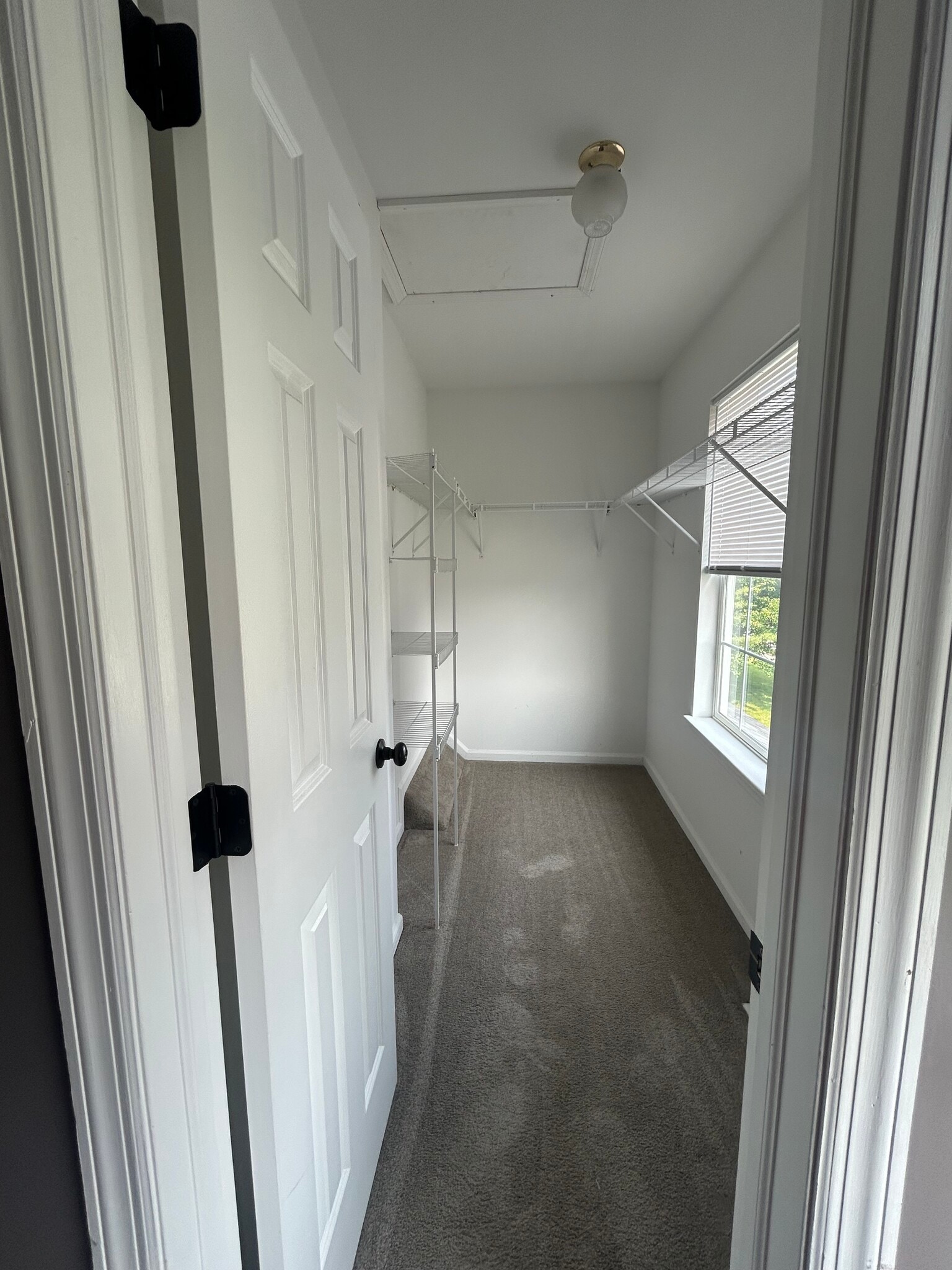 Building Photo - 3703 Wheatland Dr