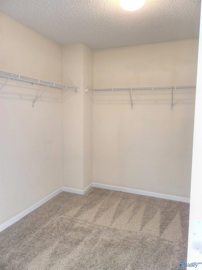 Building Photo - 247 Brockton Dr