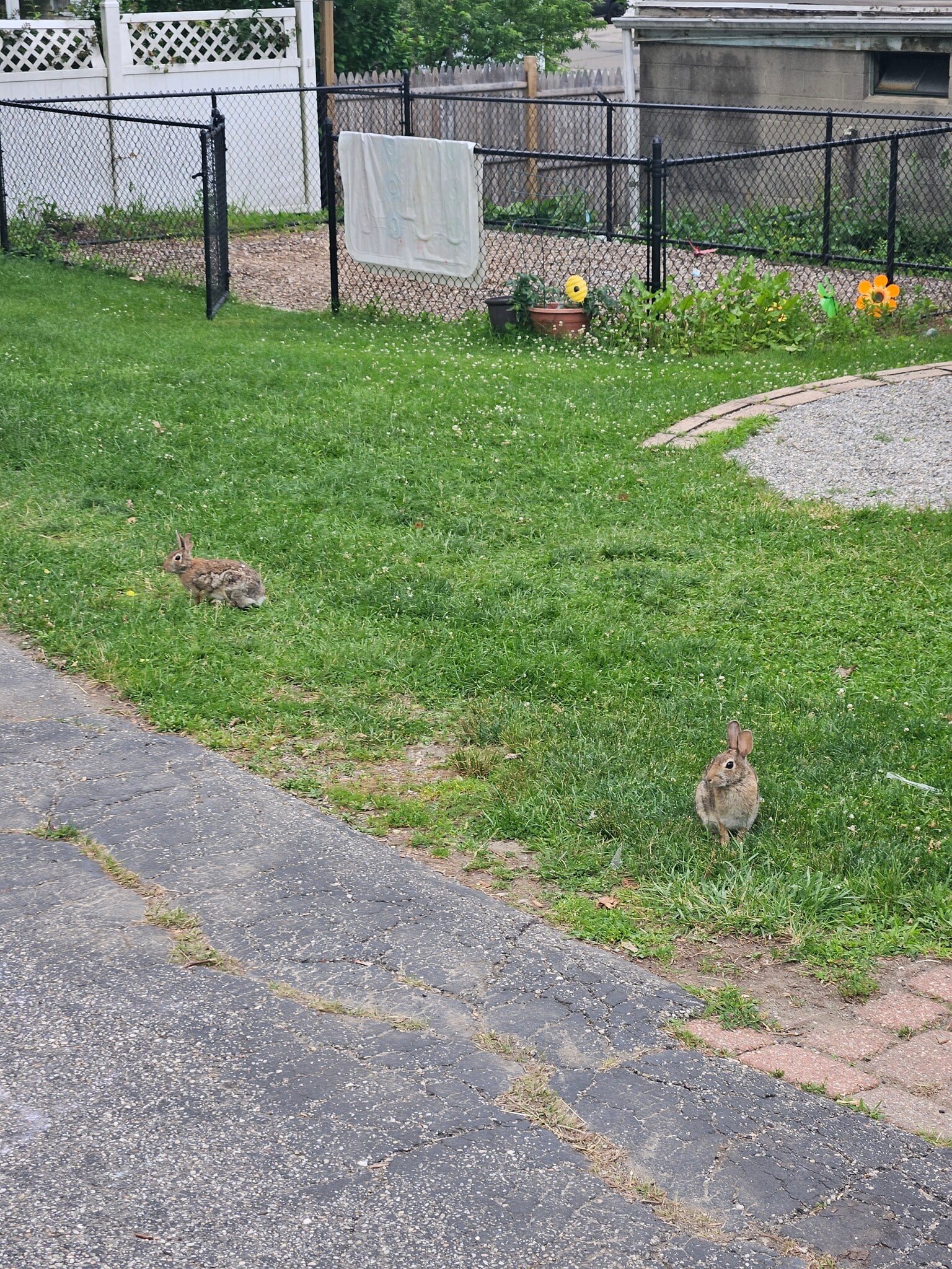 Building Photo - 11 Elm St