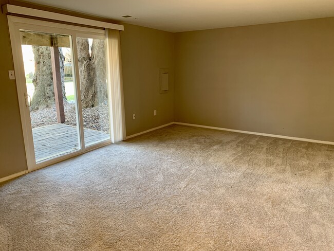 Basement Open Area - 7359 Hickory Log Cir