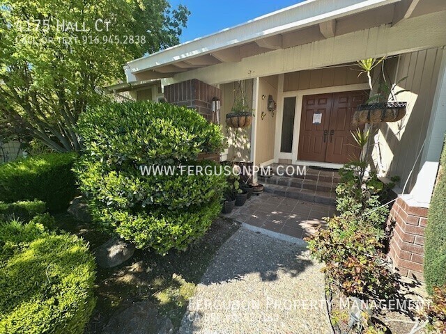 Building Photo - 4175 Hall Ct