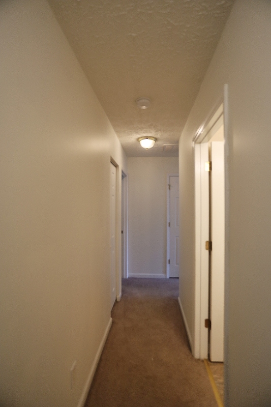Building Photo - 4113 Tensity Dr