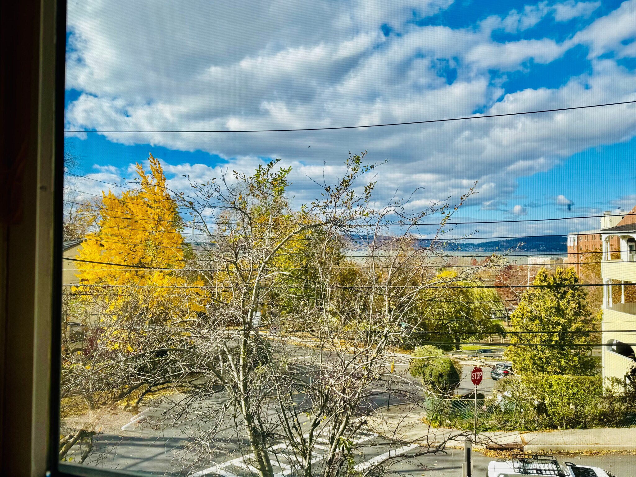 Building Photo - 56 Windle Park