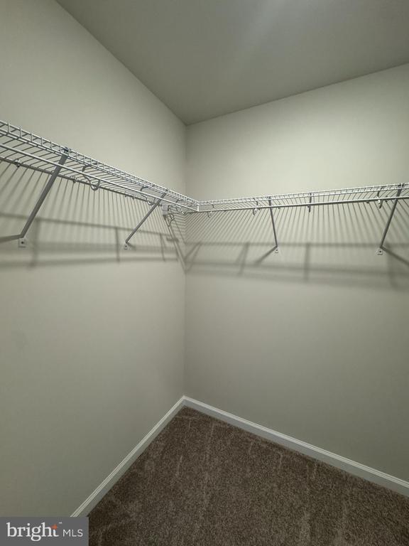 Building Photo - 51 Trout Lily Dr