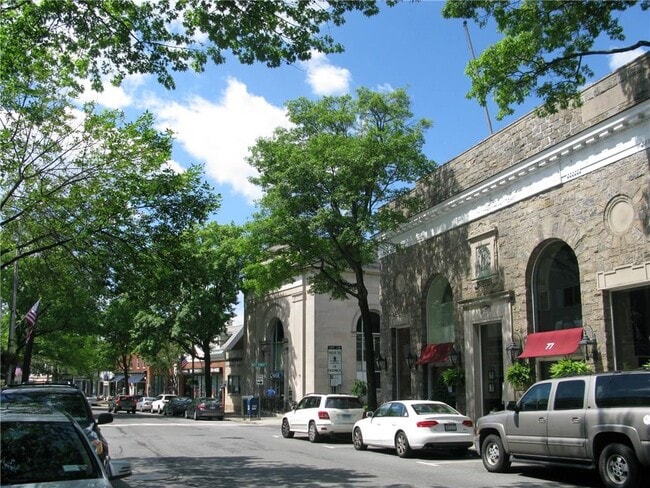 Building Photo - 100 Theodore Fremd Ave