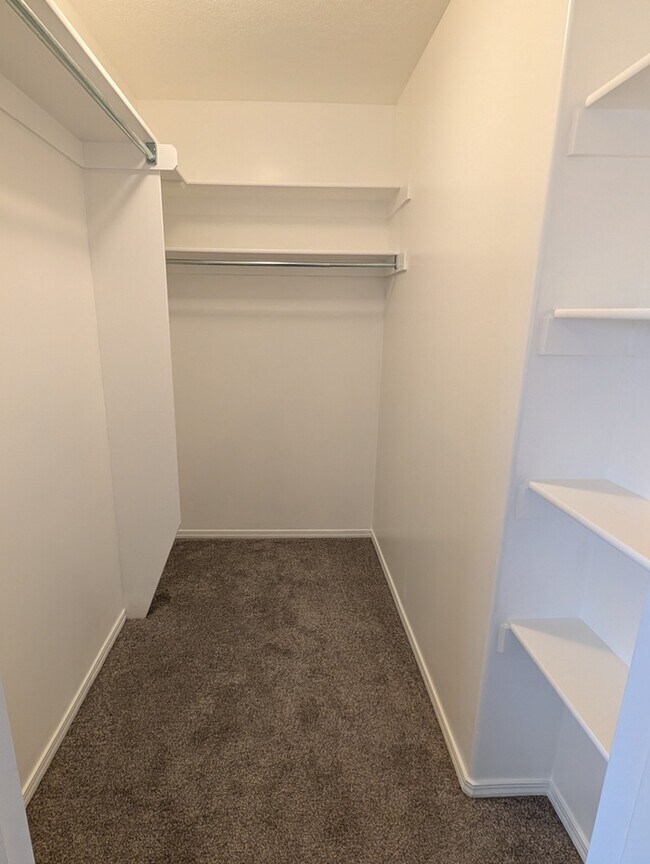 Building Photo - 5 Bedroom Home New Carpet and Paint