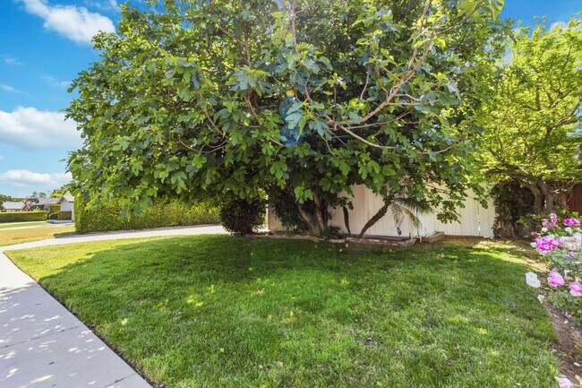 Building Photo - 23020 Haynes St