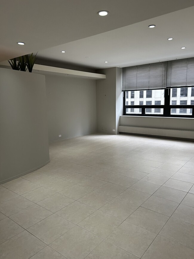 Building Photo - 680 N Lake Shore Dr
