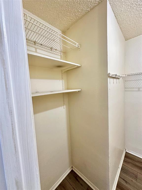 Building Photo - 9103 Japonica Ct