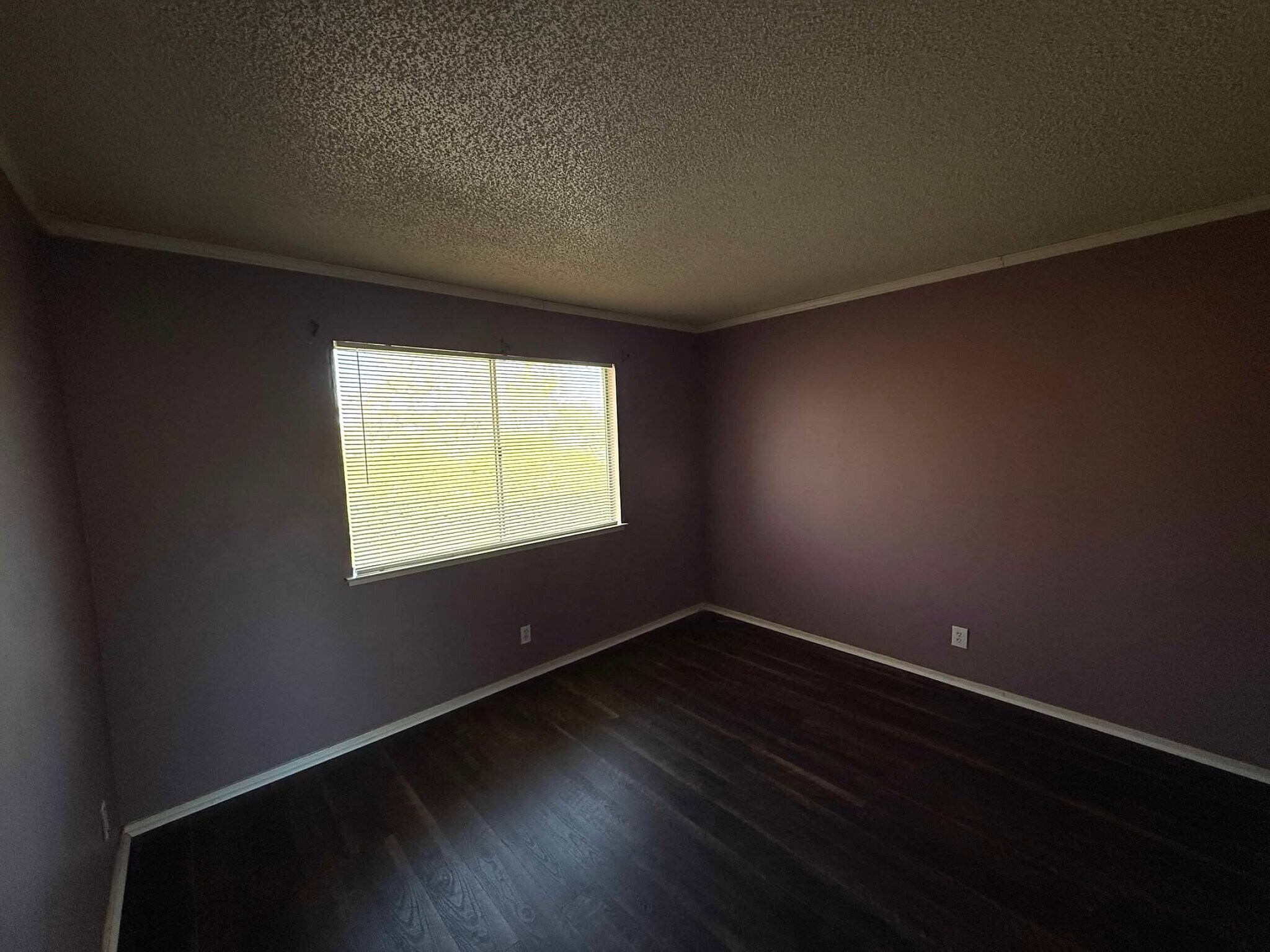 Building Photo - 2032 Benita Dr