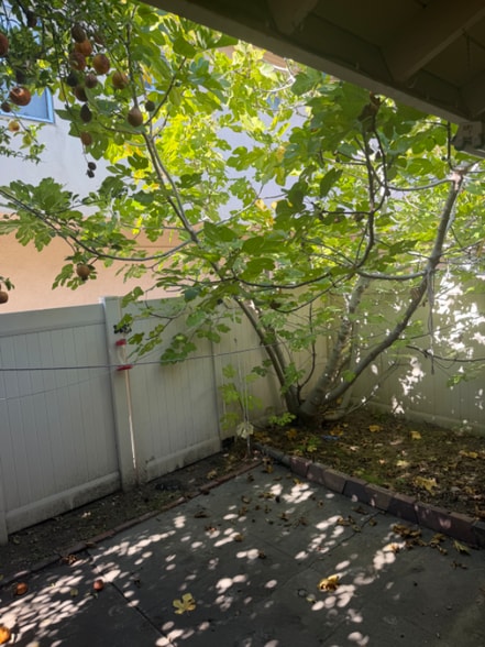 Building Photo - 918 W Huntington Dr