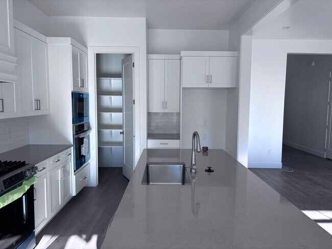 Building Photo - new single story 4 bed 3 bath with 3 car garage and community swimming pool