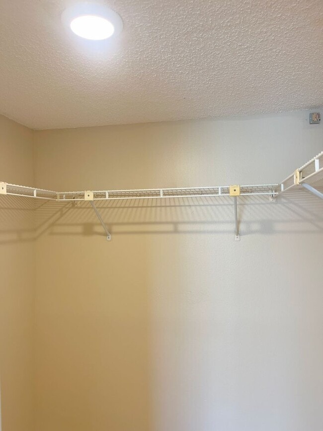 Building Photo - 1054 Lotus Cove Ct