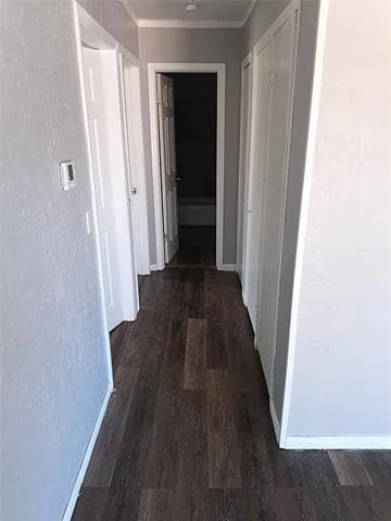 Building Photo - 2003 Johnson St