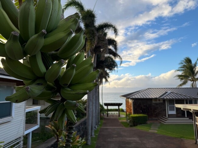 Building Photo - 519 Hana Hwy