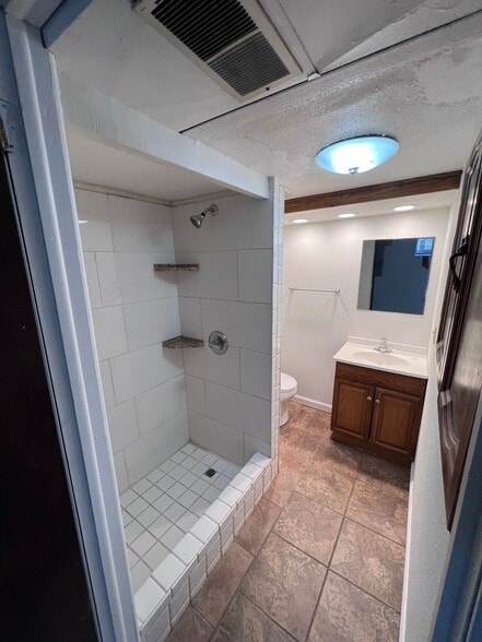 Lower Level- Bathroom - 1316 Wayne St