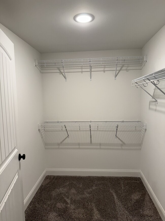 Building Photo - 5259 Sandy Brae Ln