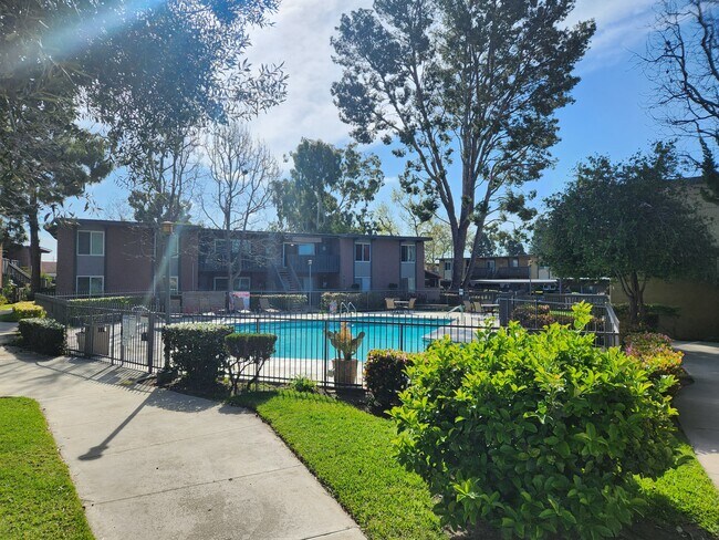 Pool 1 - 23300 Marigold Ave