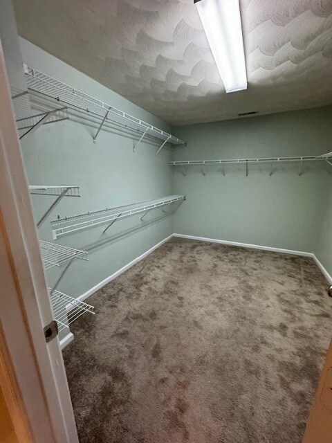 Building Photo - 5003 Middlecoff Ln