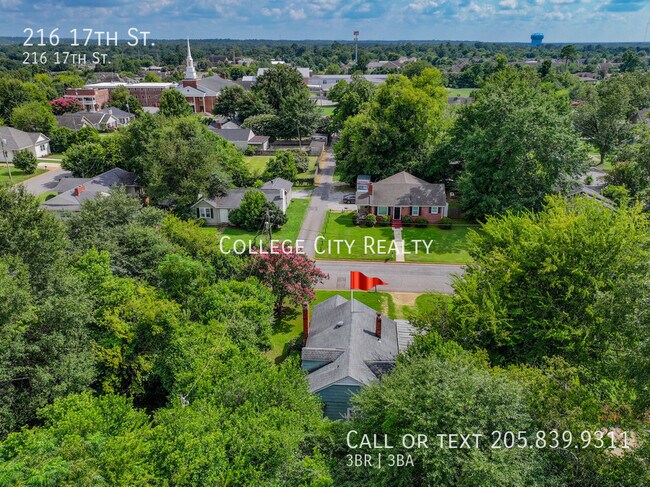 Building Photo - 216 17th St