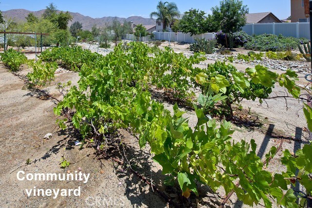 Building Photo - 27170 Arrow Point Trail