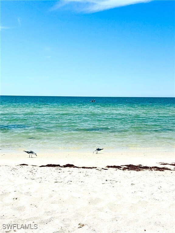 Building Photo - 913 Carrick Bend Cir