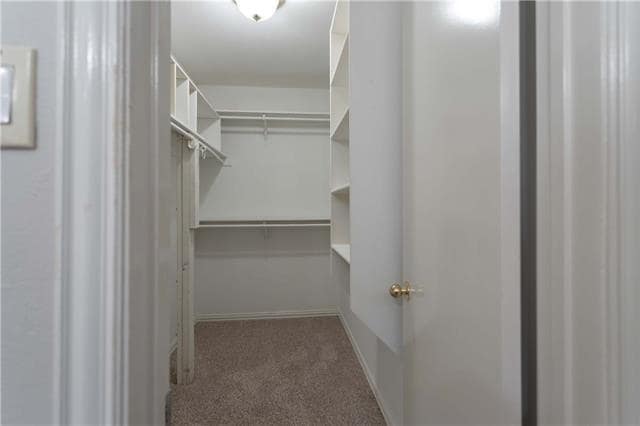 Building Photo - 1308 Crestwood Ct