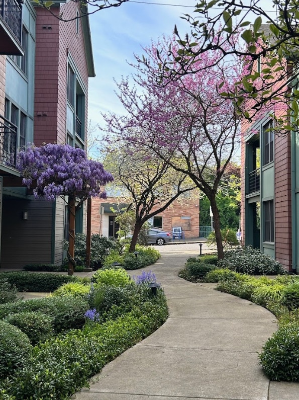 Building Photo - La Stella Apartments