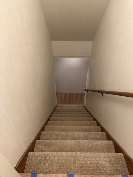 steps going downstairs - N420 Kilsdonk Ct
