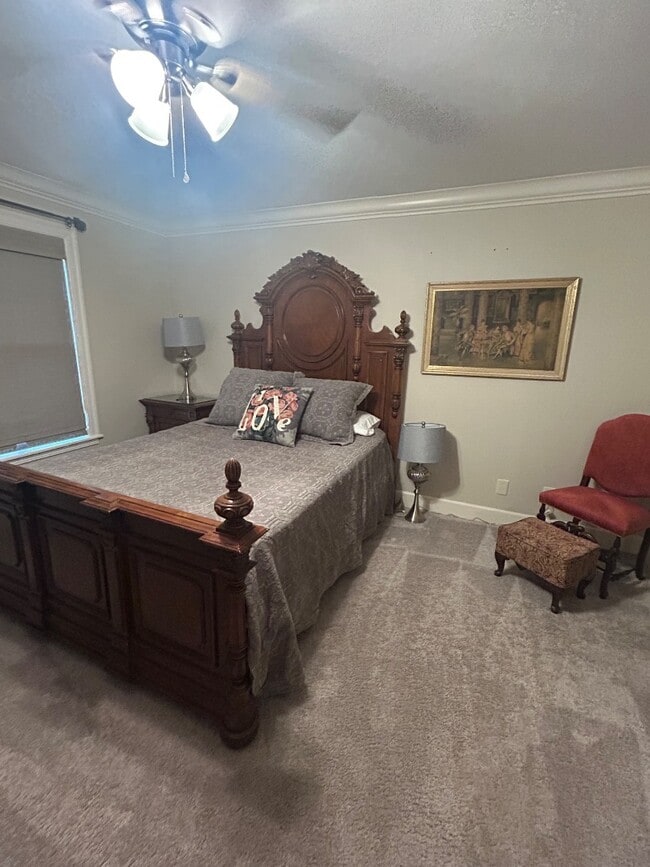 Building Photo - 243 Kate Dr