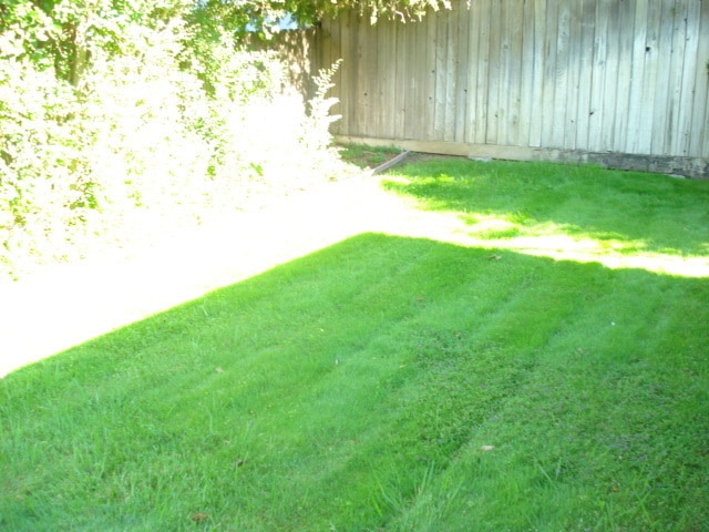 Building Photo - SINGLE STORY, 4 BED, 2 BA, LARGE LOT, ARDEN ARCADE AREA