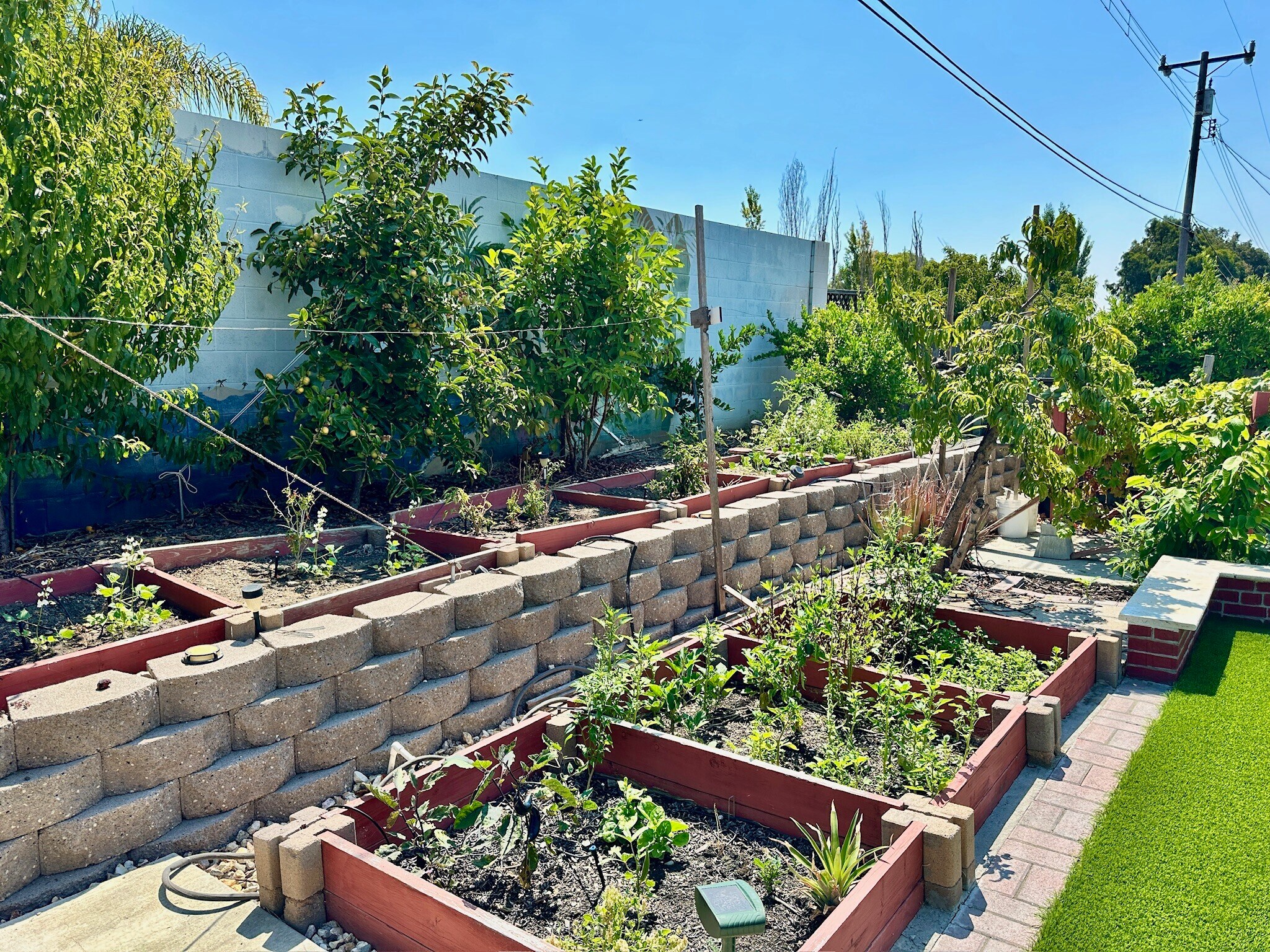 Building Photo - 48218 Arcadian St